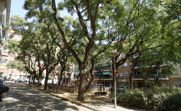 DSC06658