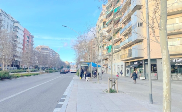 WhatsApp Image 2026-02-17 at 11.35.28