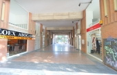 DSC07088