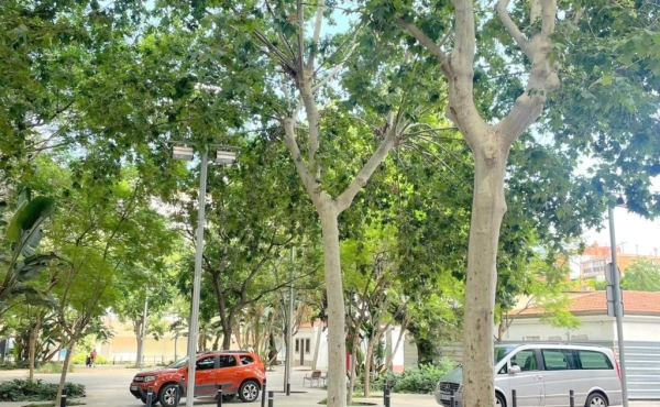 WhatsApp Image 2025-07-11 at 16.57.30 (1)