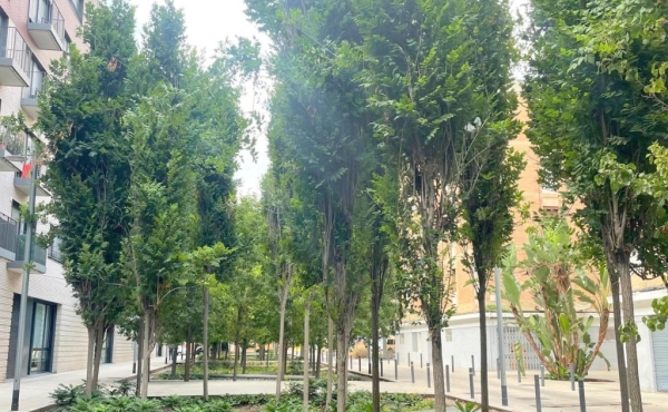 WhatsApp Image 2025-07-11 at 16.57.30 (5)