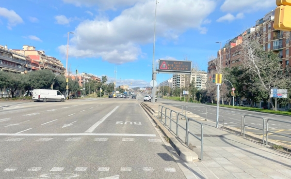 WhatsApp Image 2026-02-17 at 11.33.48