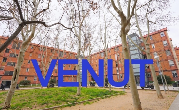 Venut 2
