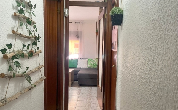 WhatsApp Image 2026-04-14 at 12.41.19