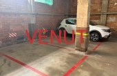 venut