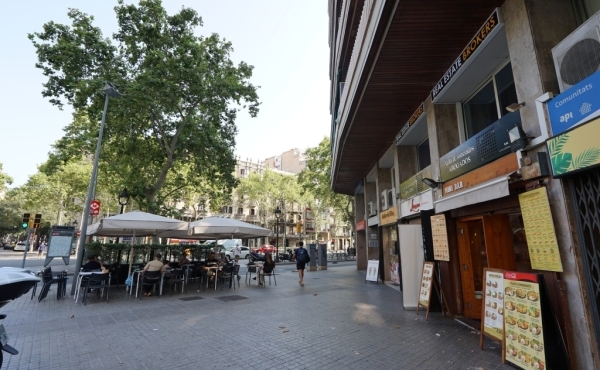 DSC08655