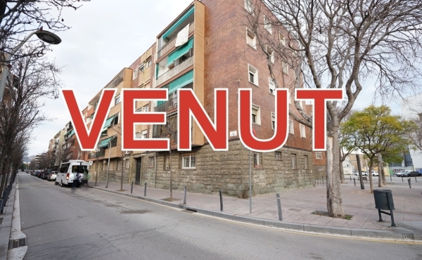 VENUT 1