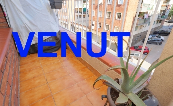 VENUT